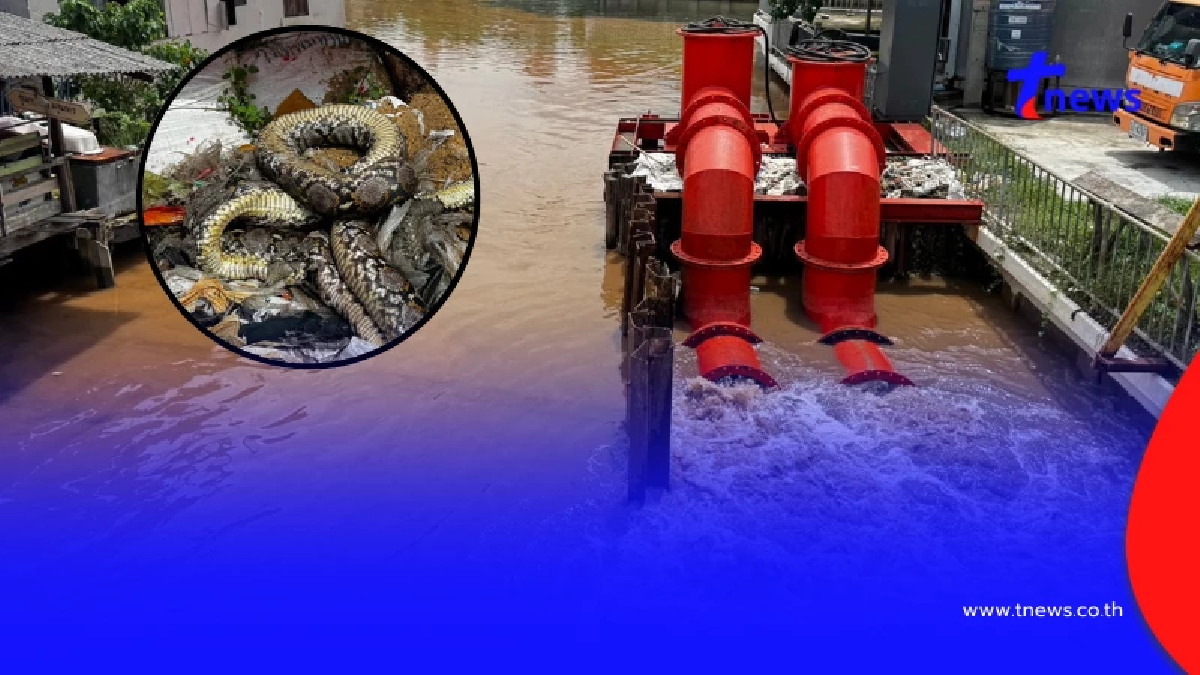 รู้แล้ว สาเหตุเครื่องสูบน้ำปากคลองบางเขนหยุดทำงาน น้ำระบายช้า