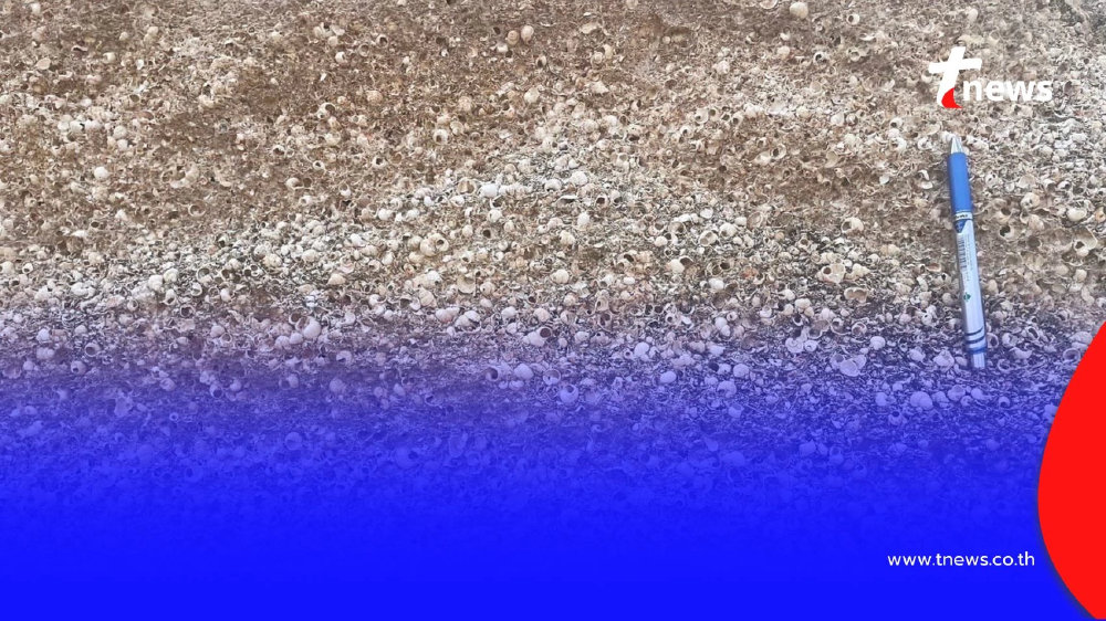 หอยขมแม่เมาะ ขึ้นทะเบียนซากดึกดำบรรพ์แห่งใหม่ของไทย