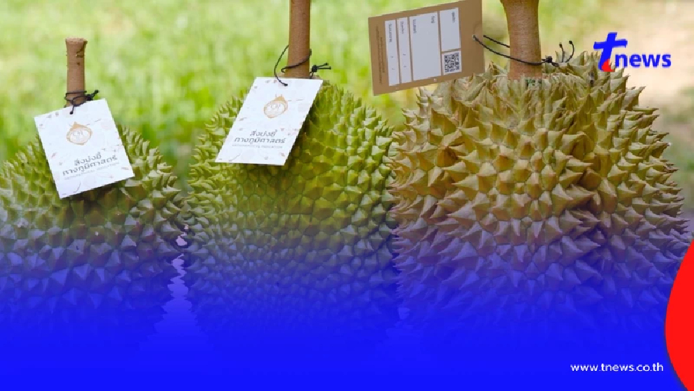 "ทุเรียน"ราชาแห่งผลไม้ไทย กับรหัสลับ GI ที่โลกต้องรู้จัก