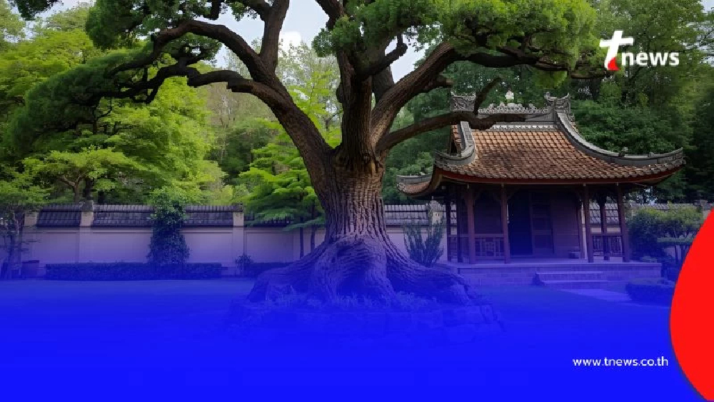 เปิด 5 เคล็ดลับดูแลต้นไม้มงคลให้รุ่งเรือง เสริมโชคลาภตลอดปี