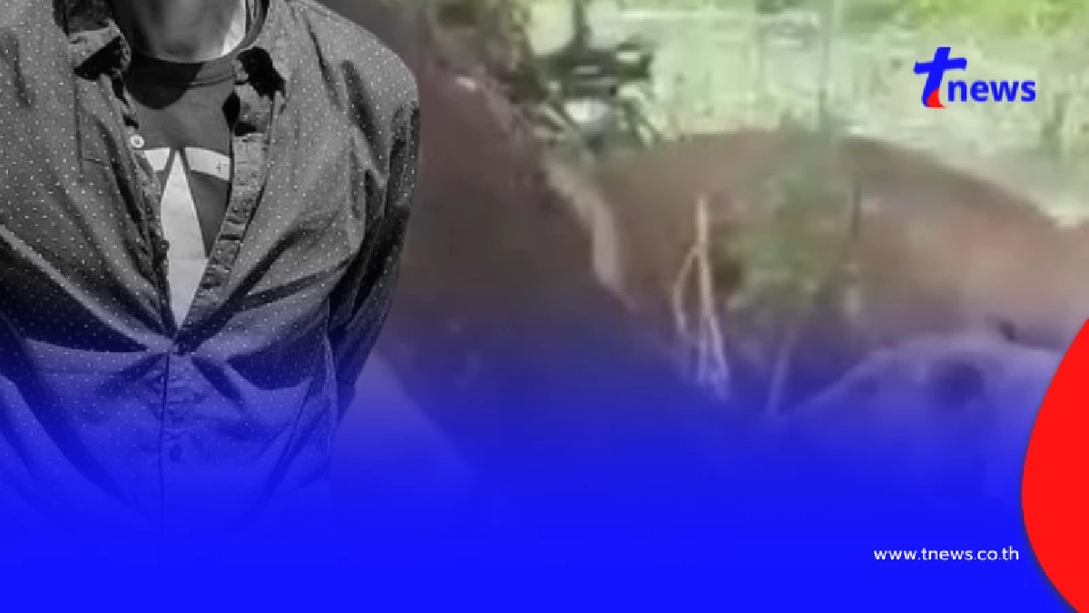 เปิดโพสต์เจ้าหน้าที่วัย 58 ปีก่อนโดนสิงโตรุมขย้ำกลางสวนสัตว์