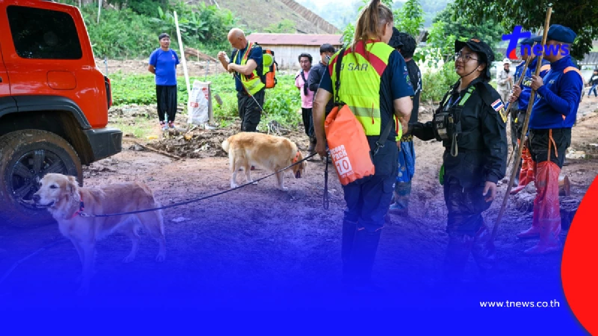 K9 ไม่ท้อ ฝ่าฝนโคลน ลิลลี่-ซาฮาร่า พบร่างผู้สูญหายเพิ่ม