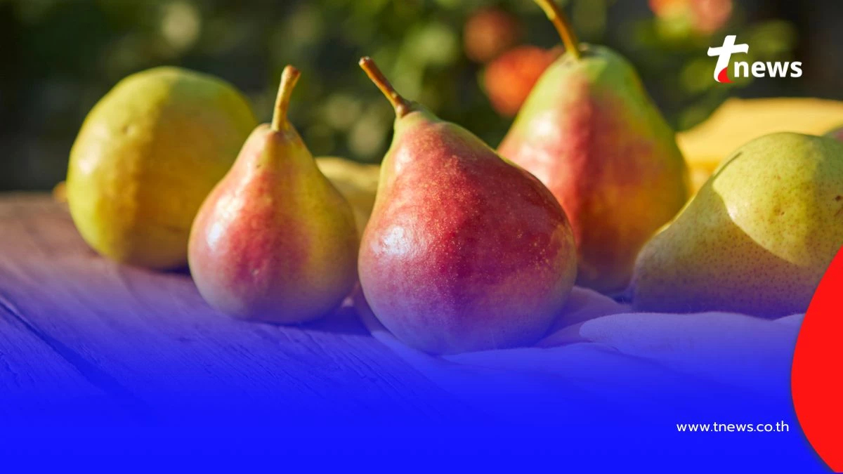 6 ผลไม้ที่ไม่ควรกินตอนเช้าขณะท้องว่าง เสี่ยงทำลายกระเพาะอาหาร