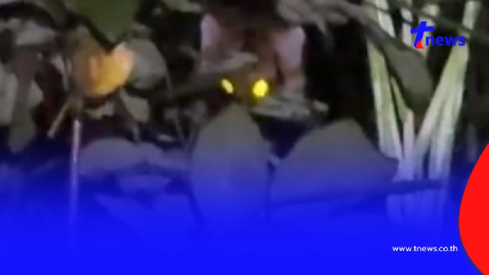 ยูทูบเบอร์หนุ่มเดินป่าจู่ๆ เจอเสือโคร่ง ทุกเสี้ยวนาทีคือชีวิต