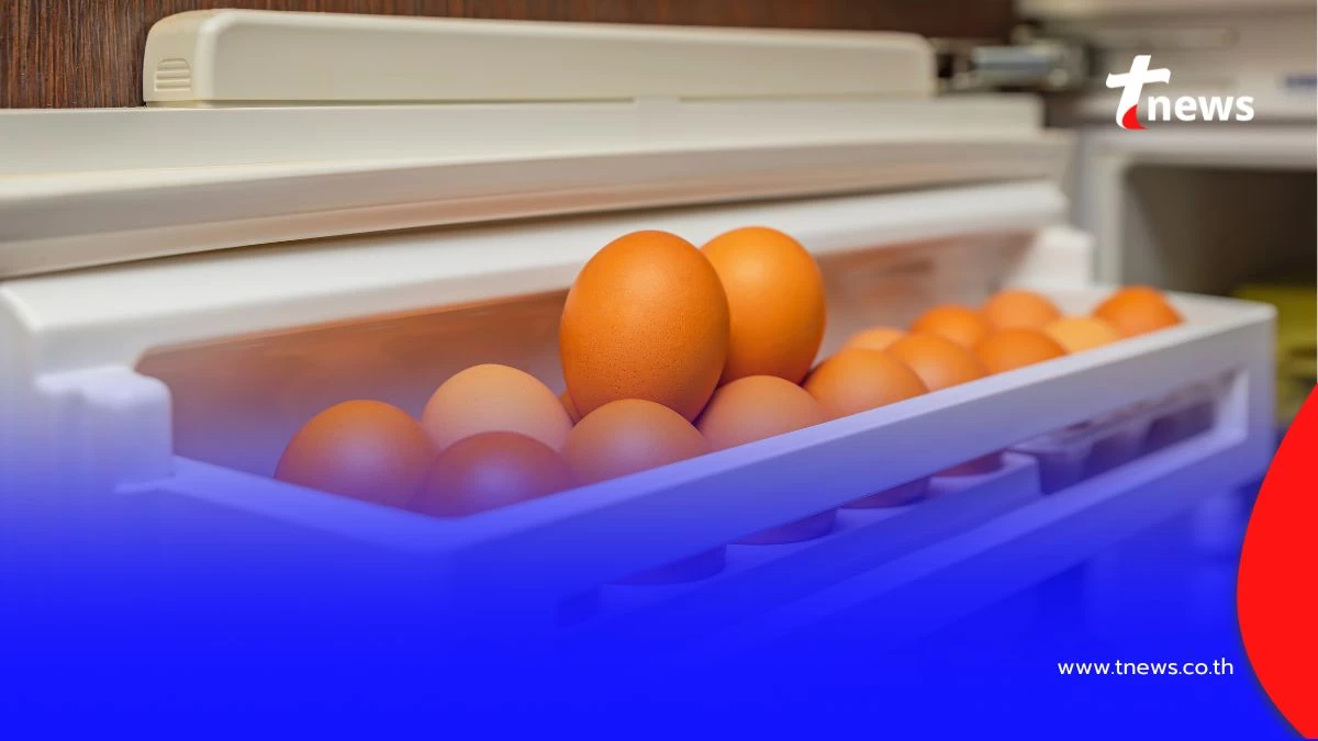 เปิด 3 วิธีเก็บไข่ ที่ทำให้ไข่เสียเร็วกว่าเดิม พร้อมคำแนะนำ