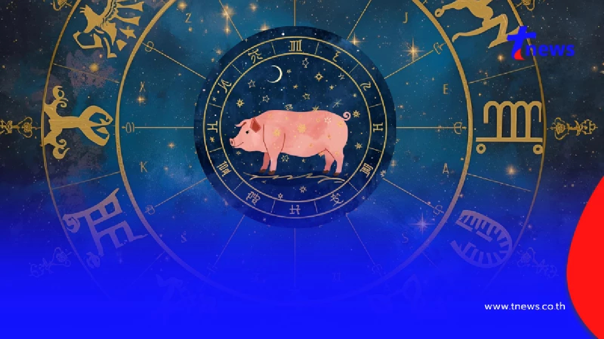 เปิดนักษัตร เพศตรงข้ามนำความเดือดร้อน ประสบปัญหาการเงิน
