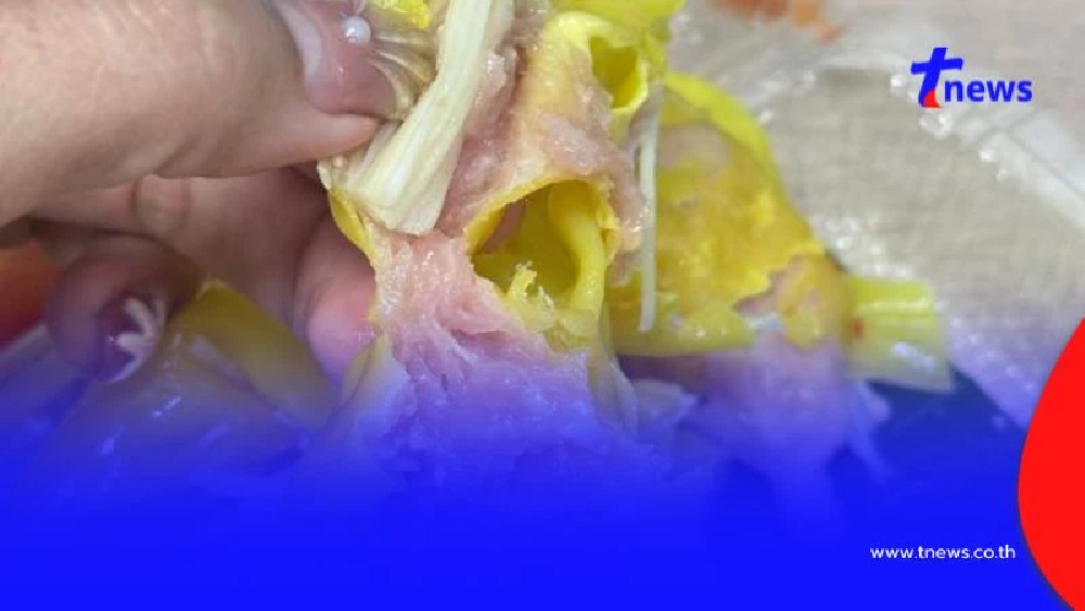 สาวกินเกี๊ยวหมู คำแรกก็ผิดสังเกต แกะออกมาแทบอ้วก ทำรู้สึกไม่ดีอย่างแรง