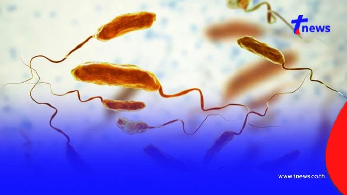 องค์การอนามัยโลก เตือน อหิวาตกโรค เสี่ยงระบาดหนัก หากละเลยสุขอนามัย