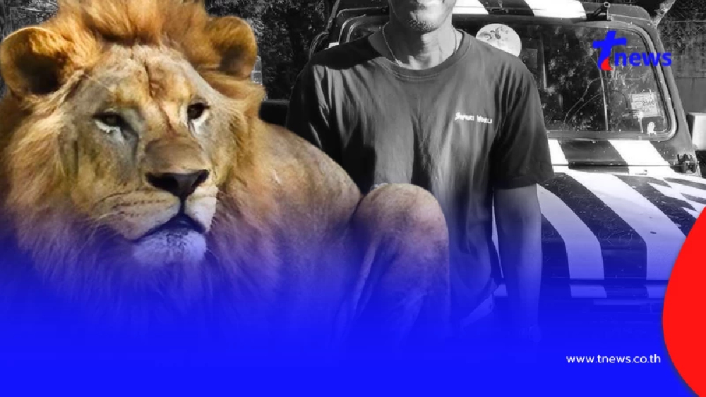 รู้แล้ว อวัยวะ ลุงเจียน อยู่ไหน หลังโดนฝูงสิงโตรุมขย้ำในสวนสัตว์