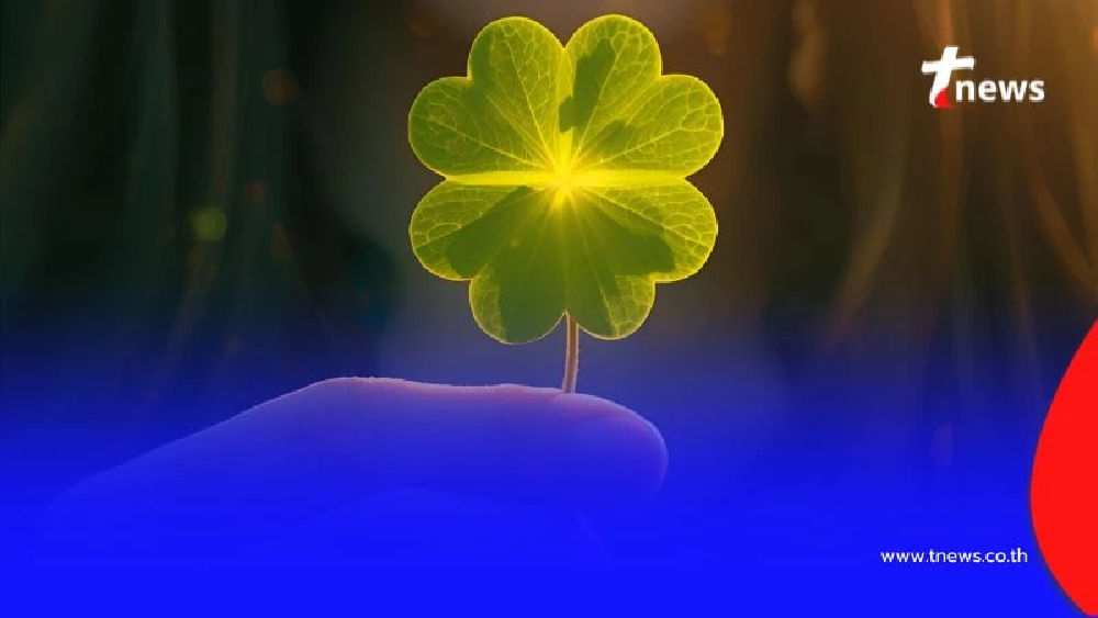 ดวงการงานและธุรกิจรุ่งพุ่งแรง เคล็ดลับเสริมดวงก่อนเริ่มงานใหม่ให้ปังไม่หยุด