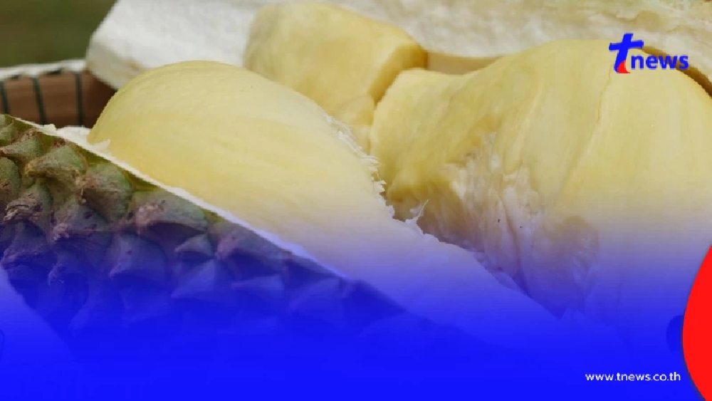 รหัสลับทุเรียนไทย "GI" หัวใจ สร้างแบรนด์สู่ตลาดโลก