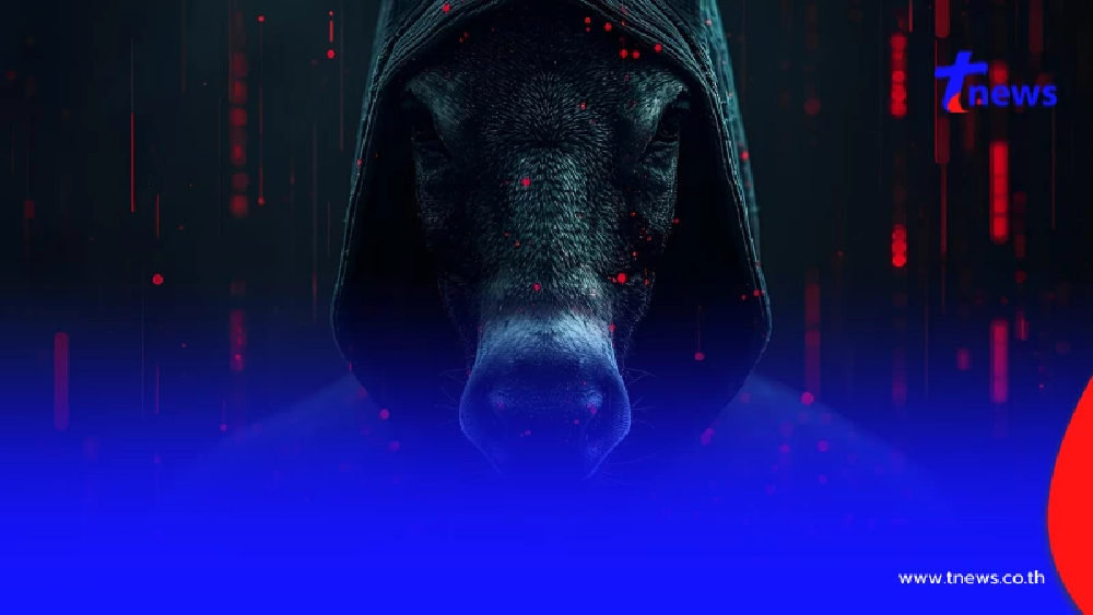 รู้จักบัญชีม้า 5 สี สภาผู้บริโภค ชี้ธนาคารคุมไม่ได้ปล่อยอาละวาด