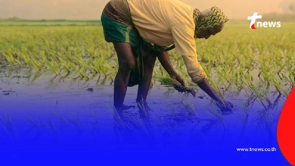 รู้จัก โรคไข้ดิน สาเหตุการเสียชีวิตที่คนไทยไม่ค่อยรู้จัก