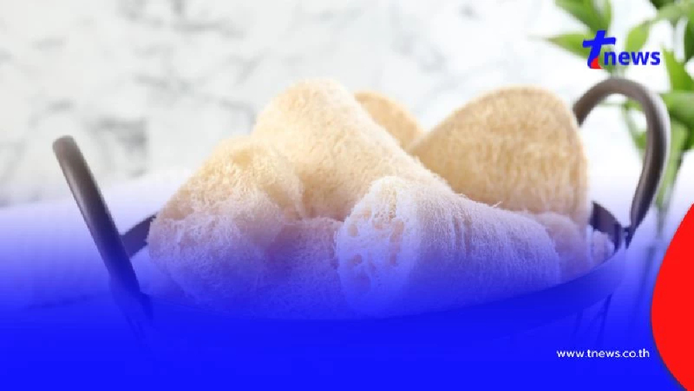 อุปกรณ์อาบน้ำใกล้ตัว เสี่ยงเป็นแหล่งสะสมเชื้อรา อันตรายต่อสุขภาพ