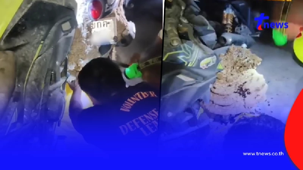 ฮือฮา รังต่อติดป้ายรถจยย. เชื่อม 2 คันติด ชาวเน็ตแห่ซูมทะเบียน