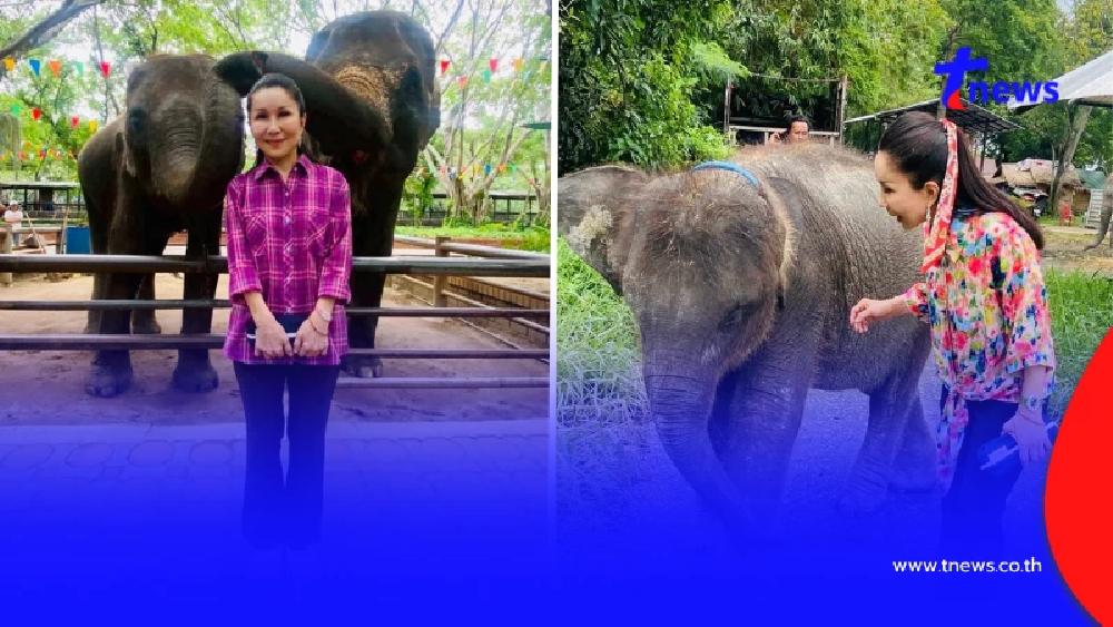 เกิดอะไรขึ้น หนูนา กัญจนา เบื่อวงการช้าง ไม่ให้ค่าคนเหล่านี้อีก