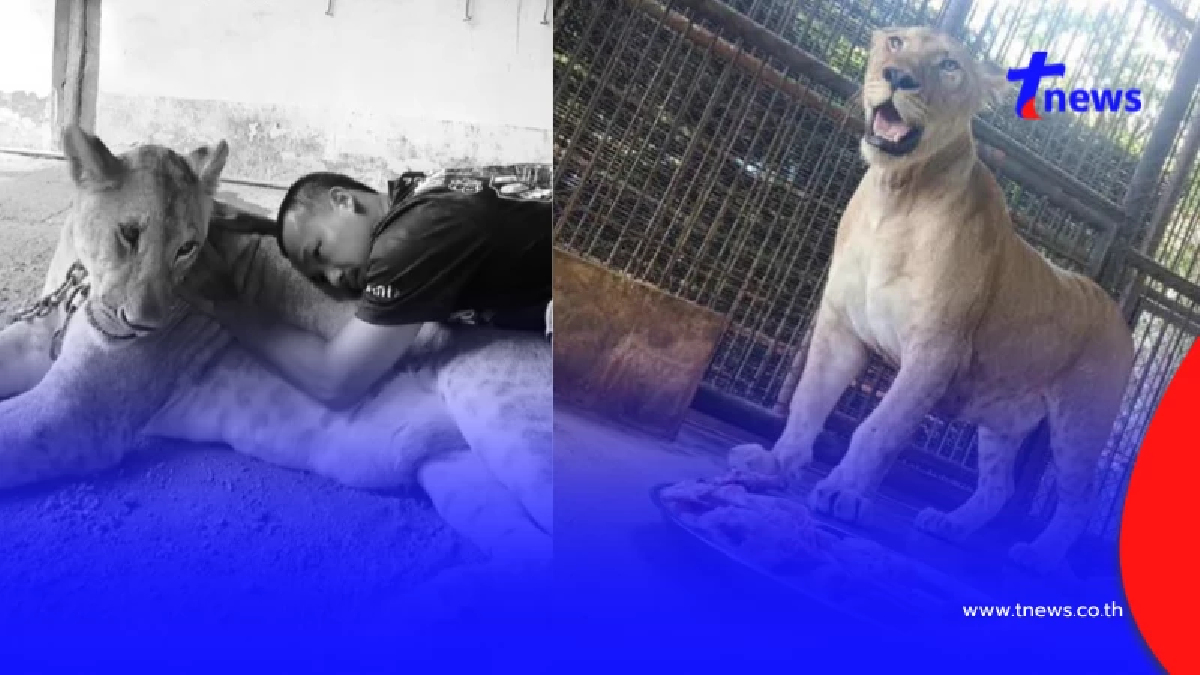 น่าห่วง อาการ"มเหสี"ล่าสุดเกิดปัญหาแล้ว เจ้าของโพสต์เศร้า