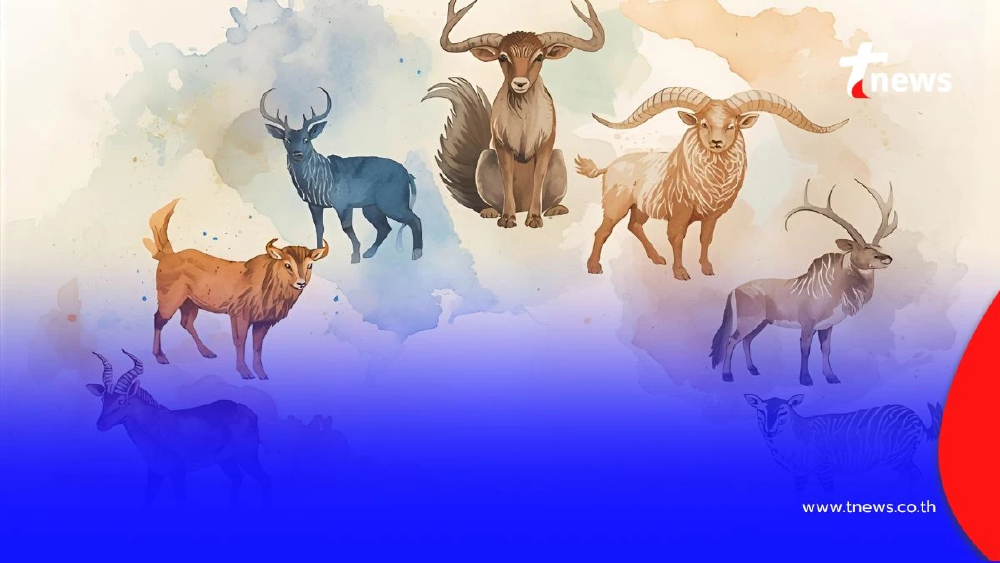 6 ราศี ดวงการเงินก้าวหน้า การงานดี มีโชคร่วมด้วยในเดือนนี้