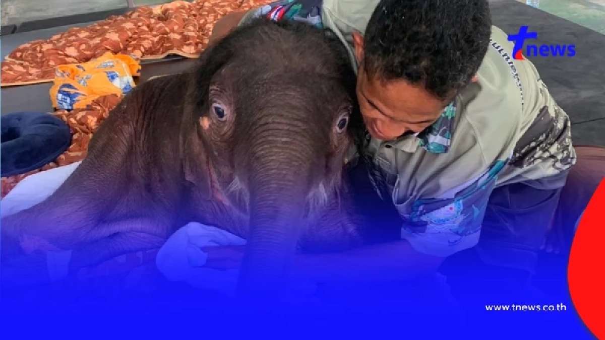 รู้แล้วใจฟู อัปเดต "น้องข้าวต้ม" ล่าสุดหลังดูแลอย่างใกล้ชิด