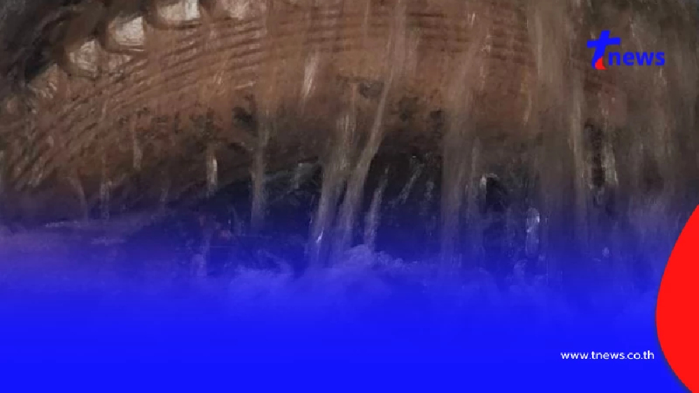 ถึงว่าเขตนี้น้ำท่วมบ่อย ส่องดูเจอวงดำๆ ใครเห็นก็ว่า งูยักษ์