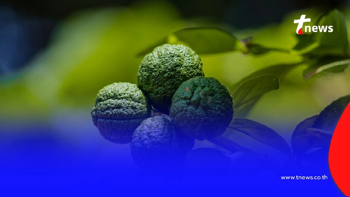 วิธีสระผมแบบคนไทยสมัยโบราณ เขาใช้อะไรในการดูแลเส้นผม