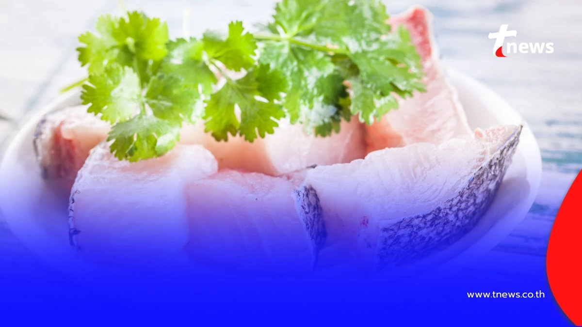 เตือนภัย "ปลาดิบเลิฟเวอร์" เสี่ยงพยาธิใบไม้ตับ อาจลามถึงมะเร็งท่อน้ำดี