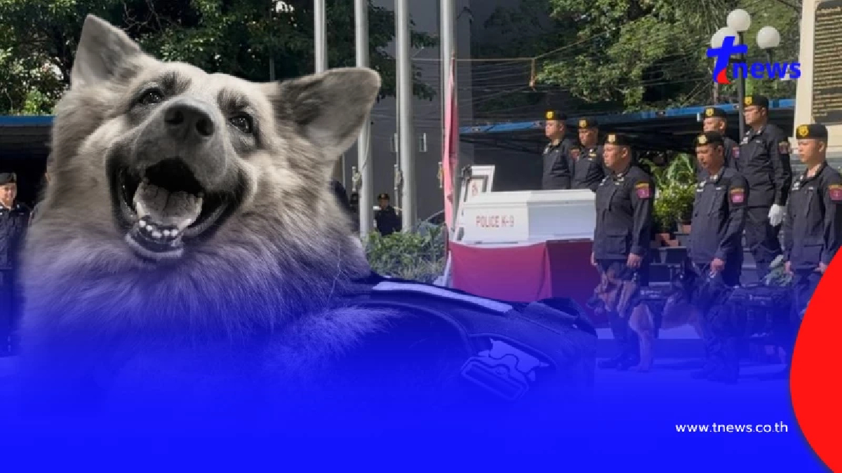 น้ำตาซึม คุณโบกล่าวลา ส่ง "K9 ซาโบ้" สู่สุคติอย่างสมเกียรติ