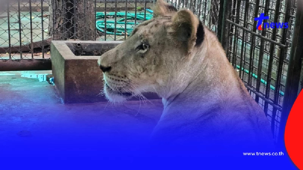 ใครจะคิด อาการล่าสุด "มเหสี" หลังโดนย้ายมาเลี้ยงที่ บึงฉวาก