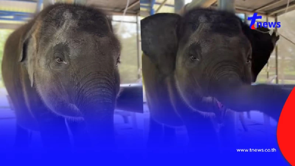 มาแล้ว คลิปแรก "น้องต้นหนาว" หลังพ้นวิกฤติ เล่นเอาใจละลาย