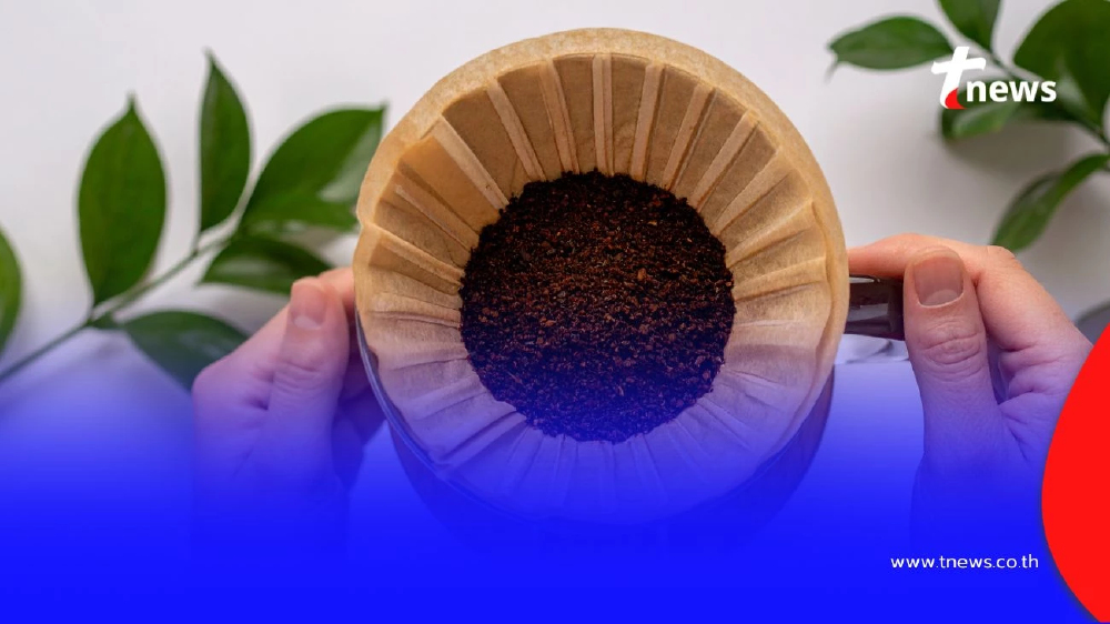 สิ่งของอะไรบ้างที่ช่วยลดกลิ่นอับภายในบ้าน หาง่ายและปลอดภัย