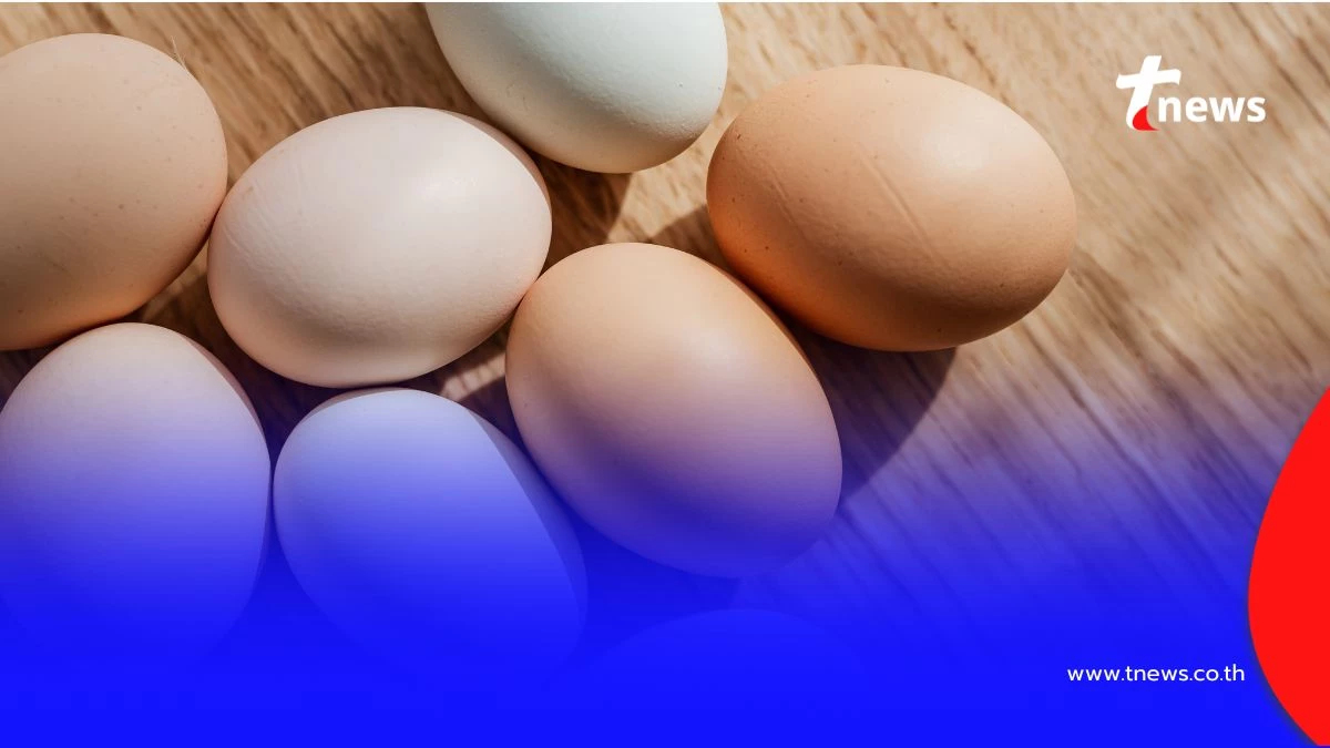 วิธีเลือกไข่ไก่ ต้องเลือกแบบไหนให้ได้คุณภาพที่ดีที่สุด