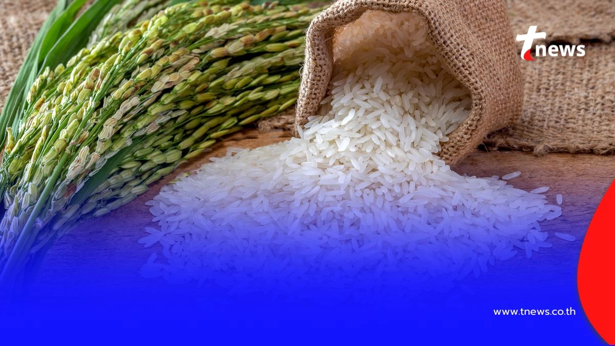 วิธี เก็บข้าวสาร ไม่ให้เหม็นหืน เปิด 3 ขั้นตอนที่คุณแม่บ้านควรรู้