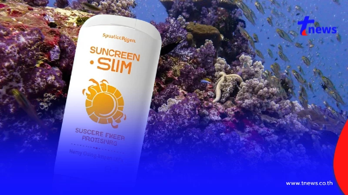 ปรับอ่วม 1 แสน! เตือน"นทท." ห้ามใช้ครีมกันแดดมีสารทำลายปะการัง