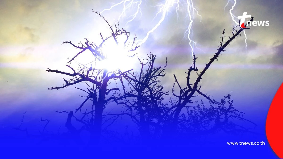 เปิดข้อควรระวัง เมื่อกำลังเข้าป่าในช่วงหน้าฝน ห้ามทำสิ่งนี้