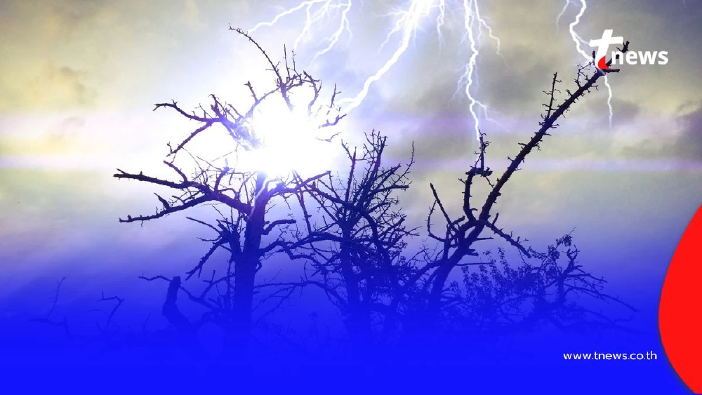 เปิดข้อควรระวัง เมื่อกำลังเข้าป่าในช่วงหน้าฝน ห้ามทำสิ่งนี้