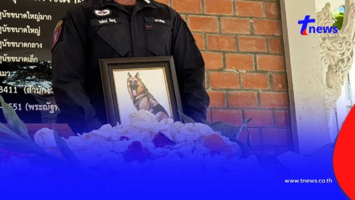 สุดเศร้าเจ้าหน้าที่และแฟนคลับร่วมไว้อาลัย “สุนัขตำรวจตรีซาโบ้”