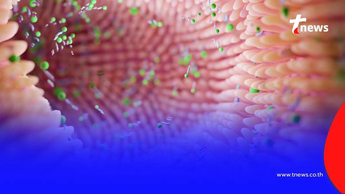 เปิดสัญญาณเตือนสุขภาพ อุจจาระขาดเป็นช่วง เสี่ยงอะไรบ้าง