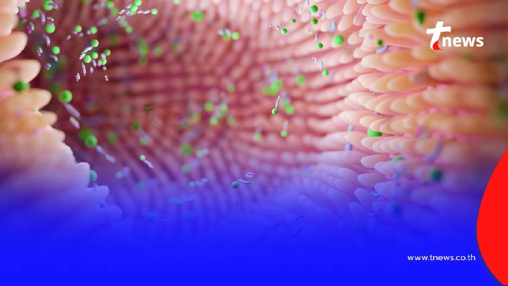 เปิดสัญญาณเตือนสุขภาพ อุจจาระขาดเป็นช่วง เสี่ยงอะไรบ้าง