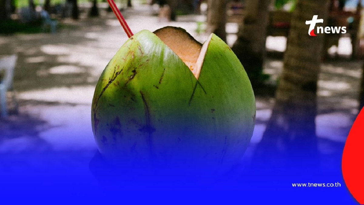 มะพร้าว มีประโยชน์อะไรบ้าง และคนกลุ่มไหนควรเลี่ยง เพราะอะไร