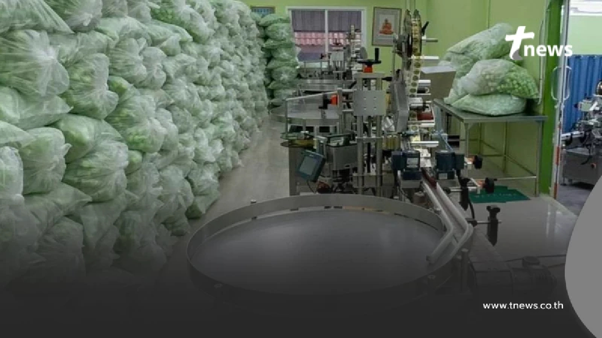 เจอต้นตอ ทลายโรงงานเถื่อน ยาดมสมุนไพรยี่ห้อดัง ของกลาง 2 ล้านชิ้น