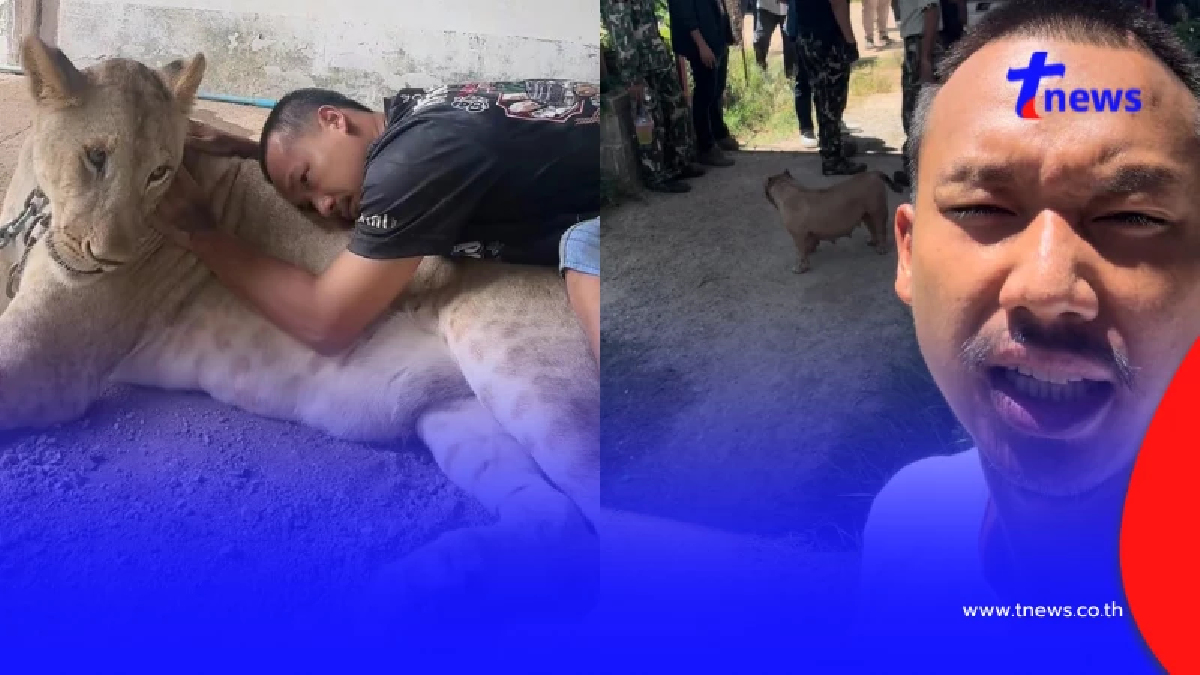 อินฟลูฯดัง ขอโทษสังคม สิงโตหลุดทำร้ายคน พร้อมจบเรื่องด้วยตัวเอง