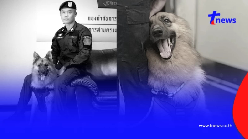 สุดห่วง โพสต์ล่าสุด "คุณโบ" หลังสูญเสีย "ซาโบ้" K9 คู่ใจ