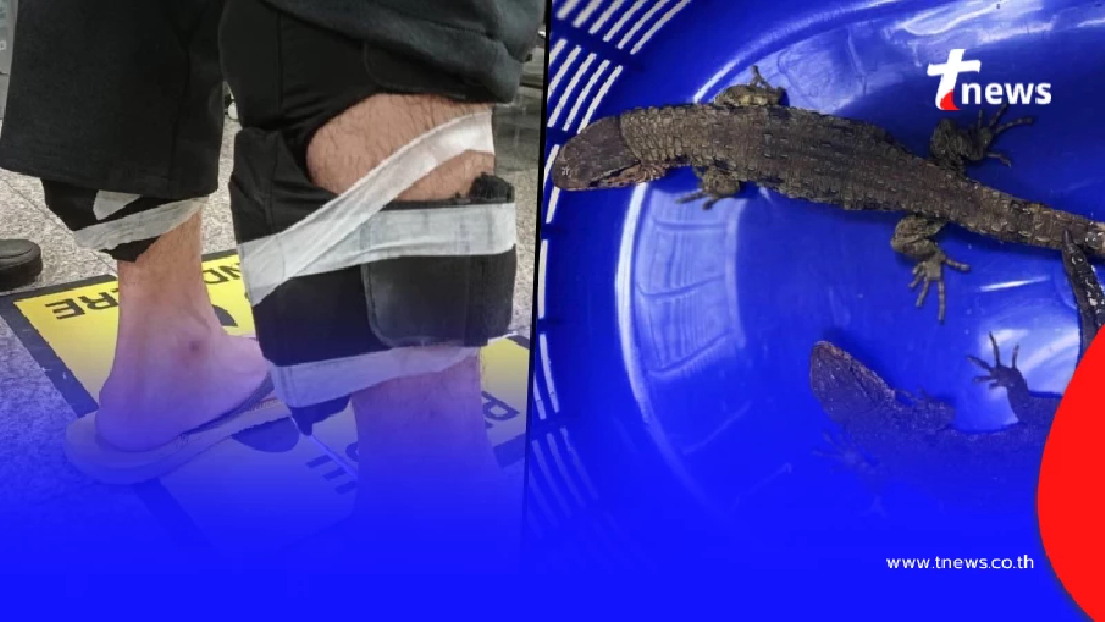 รวบ 3หนุ่ม "แก๊งไต้หวัน" ค้นเจอเต็ม ๆ 53 ตัว ตามร่างกาย น่าสงสารมาก