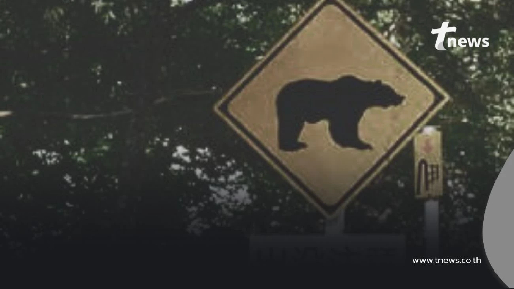 ญี่ปุ่นเฝ้าระวังภัยใกล้ตัว หมีทำร้ายคน ในญี่ปุ่น 70% เกิดใกล้ชุมชน