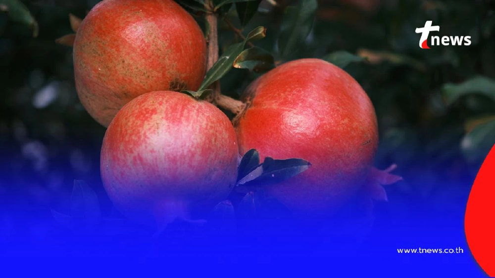 เตือนไว้ก่อน 7 สิ่งที่ควรเลี่ยง ในงานขาวดำ ตามความเชื่อโบราณของคนไทย