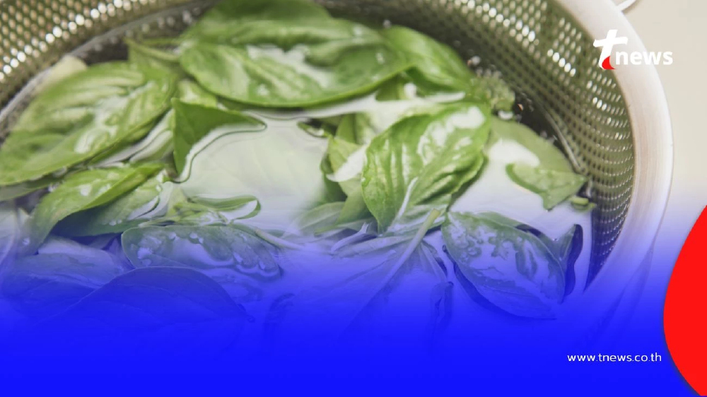 แม่บ้านควรรู้ วิธียืดอายุใบกะเพรา-ผักชี ด้วยของในครัวเพียงชิ้นเดียว