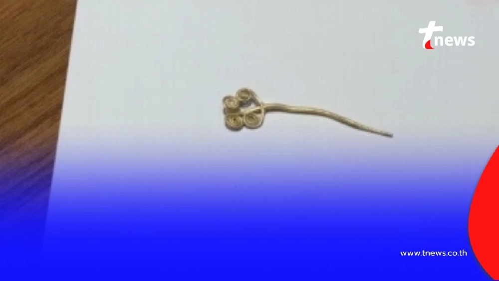 ล้ำค่า 4,500 ปี ตุรกีพบ "เข็มกลัดทองคำ-หยกหายาก" ณ เมืองโบราณทรอย