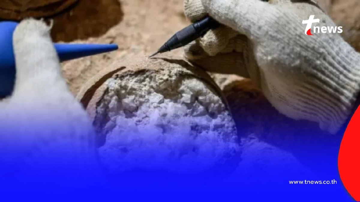 นักวิทย์จีนใช้เลเซอร์ คำนวณอายุ ไข่ไดโนเสาร์ มีอายุกว่า 86 ล้านปี