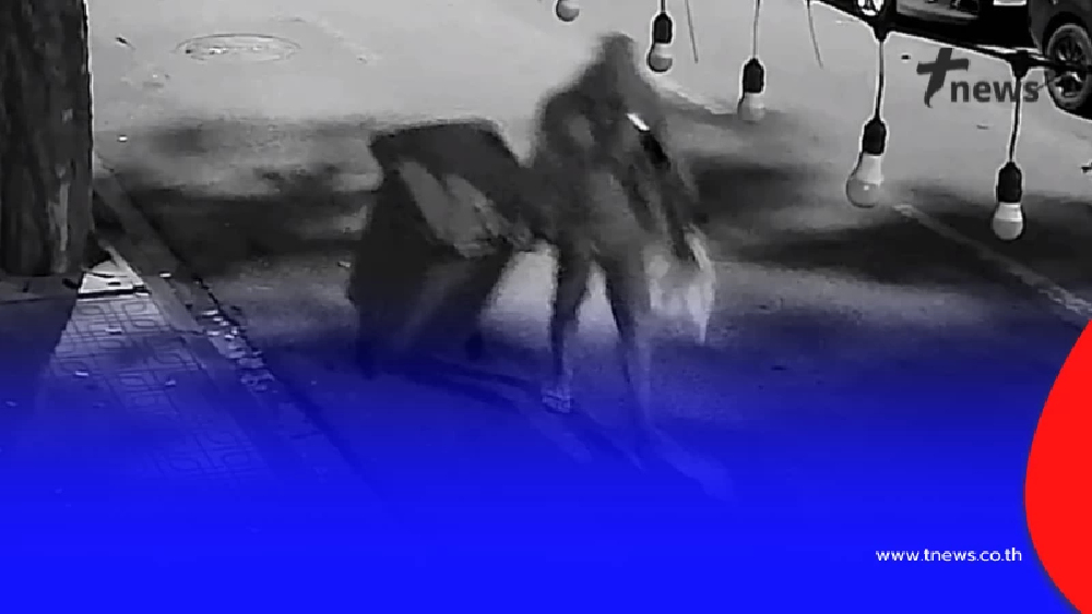 ร้านบุฟเฟต์ดัง ล่าโจรขโมยถังขยะ ใครแจ้งเบาะแส ให้กินกุ้งมังกรฟรี