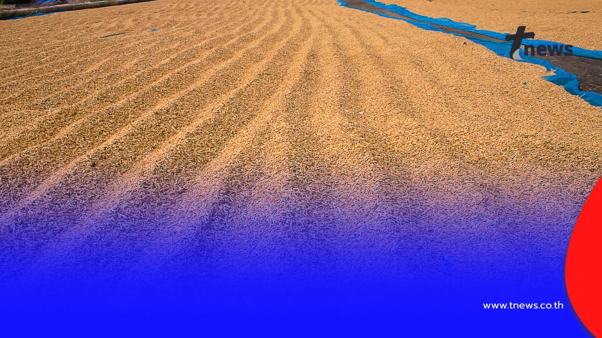 ตากข้าวบนถนนเข้าข่ายกระทำผิดกฎหมายทางหลวง โดนฟันโทษหนัก